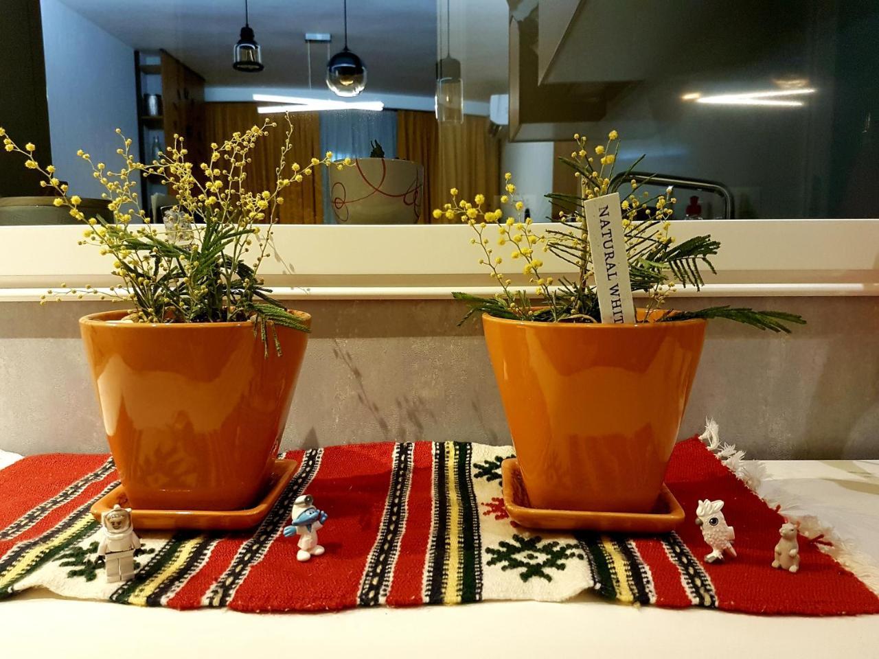 Central Luxury Apartment Tiranë Luaran gambar